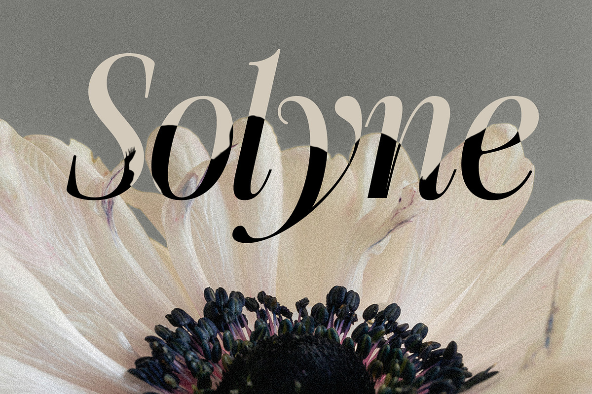 The Silver Editorial - 18 Fonts Pack, a Serif Font by SilverStag Type Foundry (Photo 13 of 30)