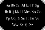Progestin - Modern Stylish, a Serif Font by RockboyStd (Thumbnail 9 of 12)