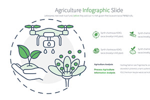 Agriculture PowerPoint Infographic