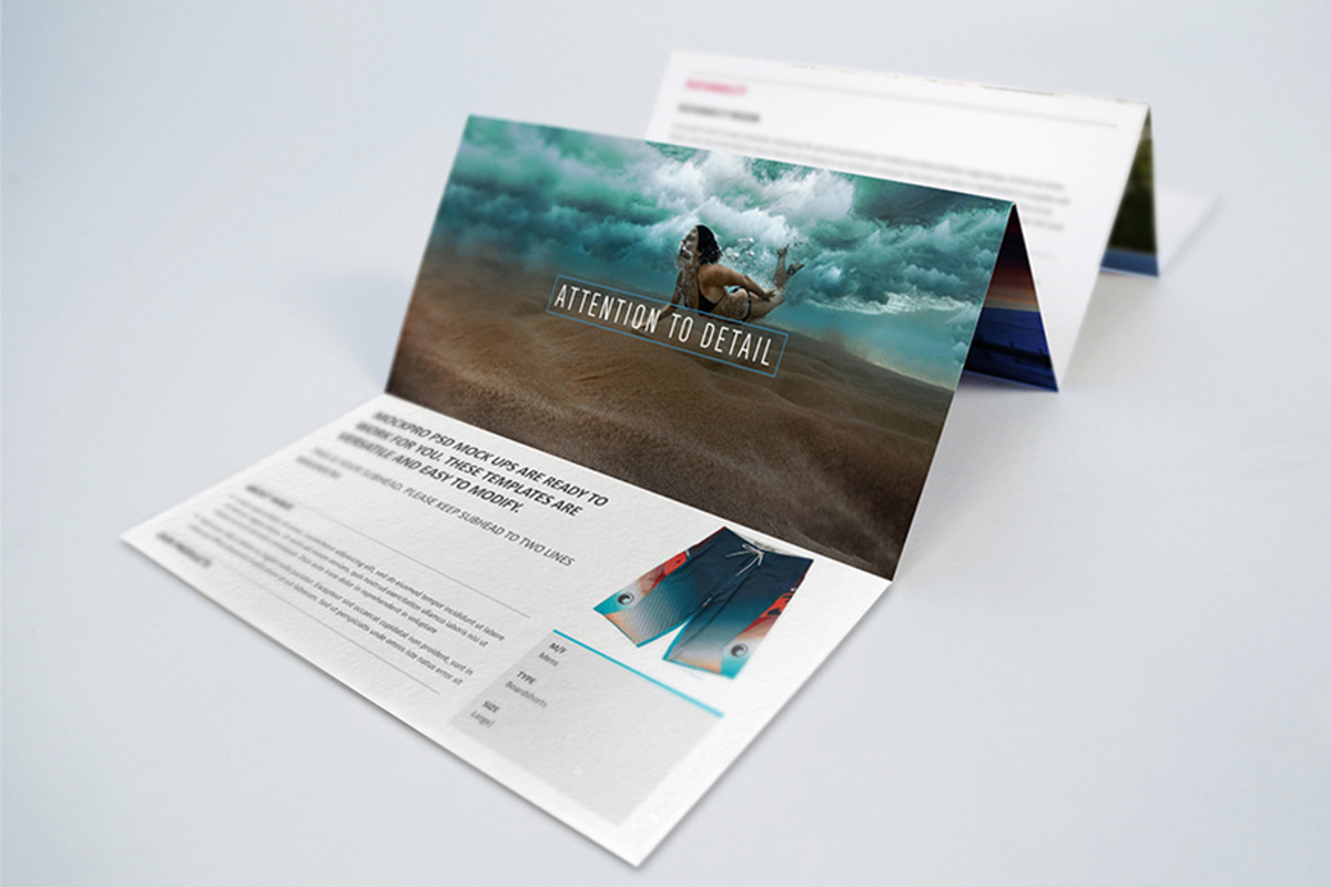 6 Panel Accordion Brochure mock, a Print Template by Shop Mockpro (Photo 2 of 10)