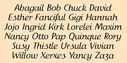 IngrianaCasual, a Sans Serif Font by Ingrimayne Type (Thumbnail 7 of 8)