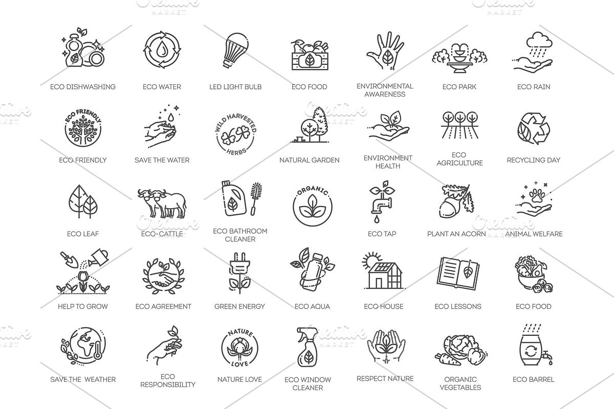 Ecological Succession Icons Pack, an Object Illustration by Tettygreen (Photo 1 of 3)