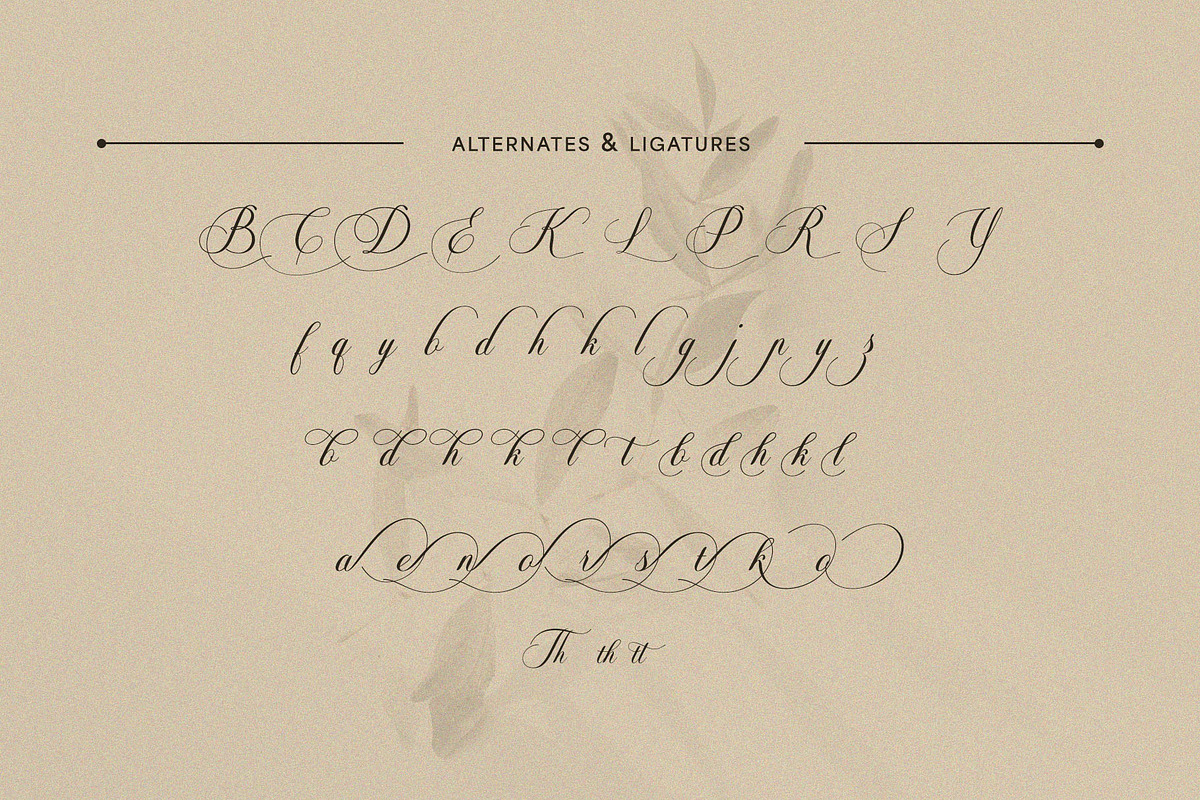Soralize - A Modern Calligraphy Font, a Script Font by Almeera Std (Photo 3 of 10)