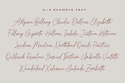 Baked Salmon - Monoline Script Font, a Script Font by Subectype Studio (Thumbnail 3 of 9)