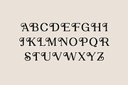 Retroversion Retro Serif Font, a Serif Font by UICreative (Thumbnail 12 of 14)