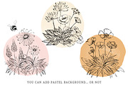 Flower Doodle clipart, Ink Meadow, an Illustration by swiejko (Thumbnail 3 of 8)