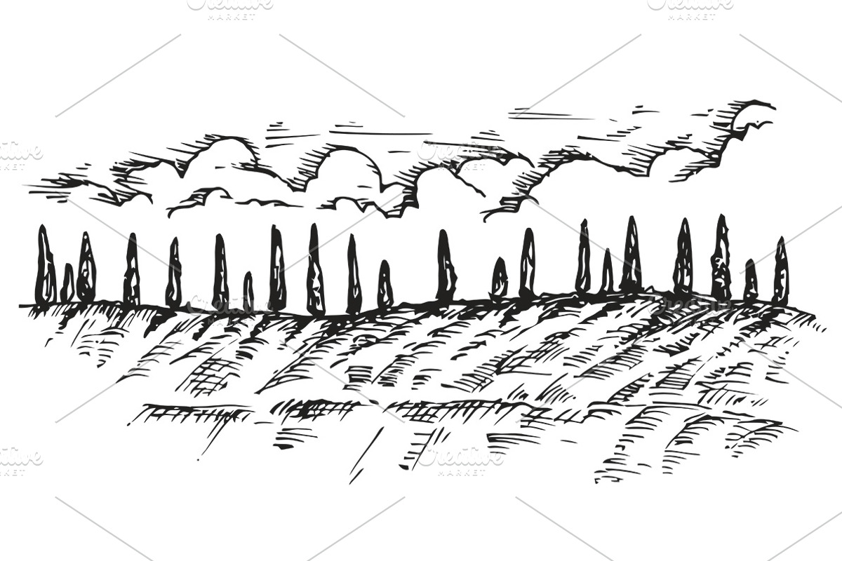 Hand drawn sketches of cypress tree, a Decorative Illustration by CGterminal (Photo 6 of 7)