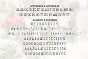 Flower Store | Script Font, a Script Font by Scratchones (Thumbnail 7 of 8)