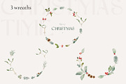 Watercolor Winter Collection, an Object Illustration by bloomscape (Thumbnail 4 of 10)