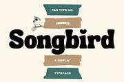 TAN - SONGBIRD, a Font by TanType (Thumbnail 1 of 16)