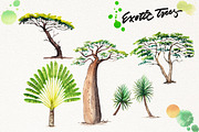 Watercolor Exotic Trees, an Illustration by Graphobia (Thumbnail 5 of 11)