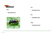 Colorful Template For Any Use, a Templates & Theme by Iconography - Pitch Deck (Thumbnail 20 of 36)