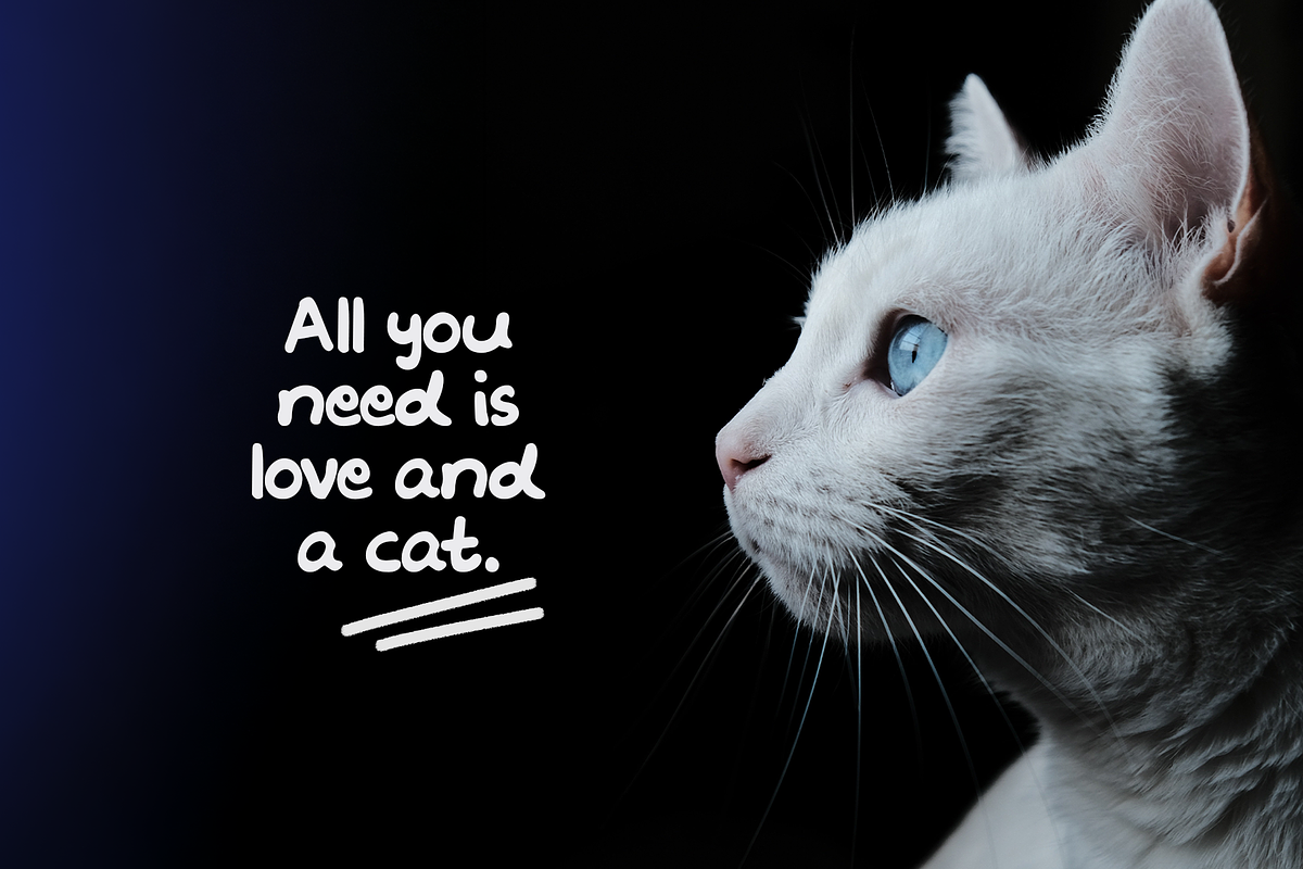 Happy Charm Handwritten Font, a Handwritten Font by Your Social Bae (Photo 6 of 7)