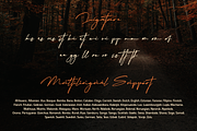 Migratory, a Font by Dumadistyle (Thumbnail 10 of 11)