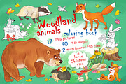 Cute woodland animals bundle, an Animal Illustration by Haso (Thumbnail 1 of 10)
