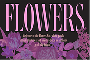 Santall: Modern Serif Font, a Serif Font by Andfonts (Thumbnail 6 of 10)
