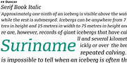 FP Dancer Serif, a Slab Serif Font by Fontpartners (Thumbnail 4 of 7)