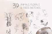 Charming forest - BUNDLE 4 in 1, a Decorative Illustration by Yuliia Lashevska (Thumbnail 24 of 26)