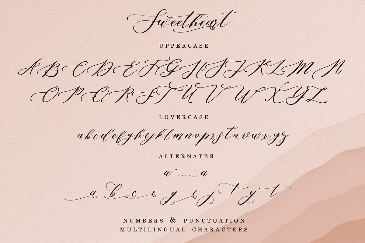 Sweetheart Elegant Script, a Script Font by Quothron (Photo 9 of 9)