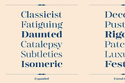 Gerard Display, a Serif Font by Rafael Jordan (Thumbnail 11 of 12)