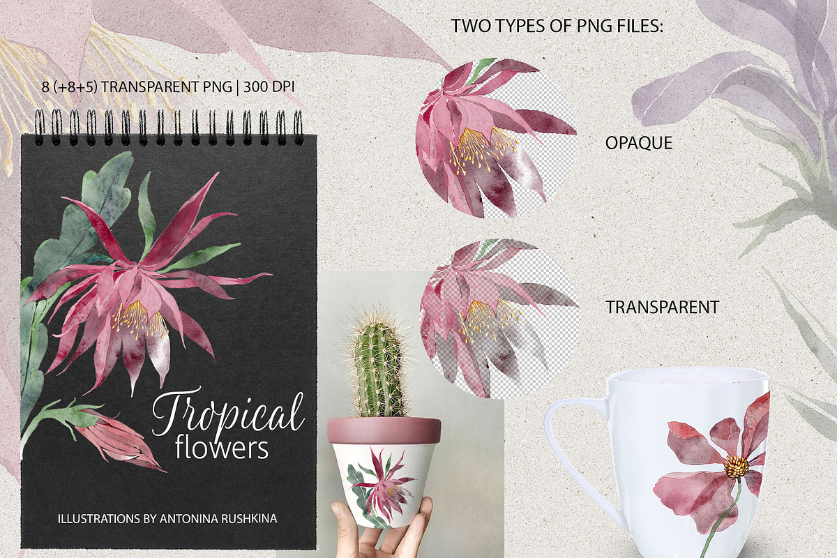 Set of transparent watercolor flower, a Decorative Illustration by RushkinaAntonina (Photo 4 of 5)