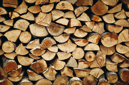Firewoods in the pile close-up