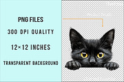 Black Cat Peeking PNG, an Illustration by SinaCreation (Thumbnail 4 of 5)