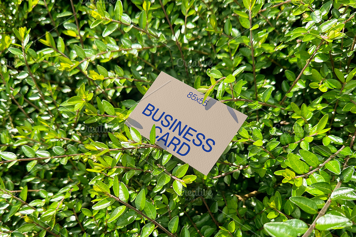Green Leaf Business Card Mockup, a Mockup by Quirko (Photo 6 of 7)