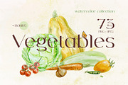 Vegetables Watercolor clip art, a Food Illustration by Farida Bik (Thumbnail 1 of 12)