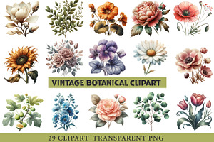 Vintage Botanical Clipart, an Illustration by cherrydesign