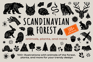 Scandinavian forest trendy set