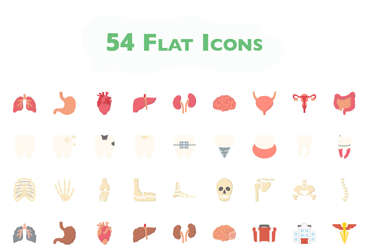 216 Medical Icons, a Solid Icon by Maxim Cherednichenko (Photo 4 of 7)