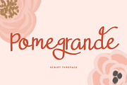 Pomegrande Script Typeface, a Script Font by Dawnside Graphic (Thumbnail 1 of 13)
