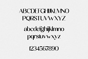 Sprinter - Modern & Elegant Sans, a Sans Serif Font by Misha Sova (Thumbnail 10 of 11)