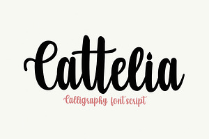 Cattelia Script