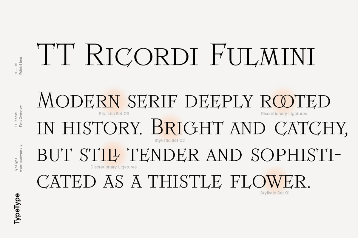TT Ricordi, a Serif Font by TypeType (Photo 11 of 15)