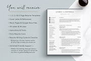 Executive Resume Template for Google, a Resume Template by Get Landed (Thumbnail 8 of 11)