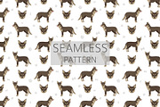 Coydog. Coyote - Domestic dog mix, an Animal Illustration by pet design shop (Thumbnail 6 of 6)