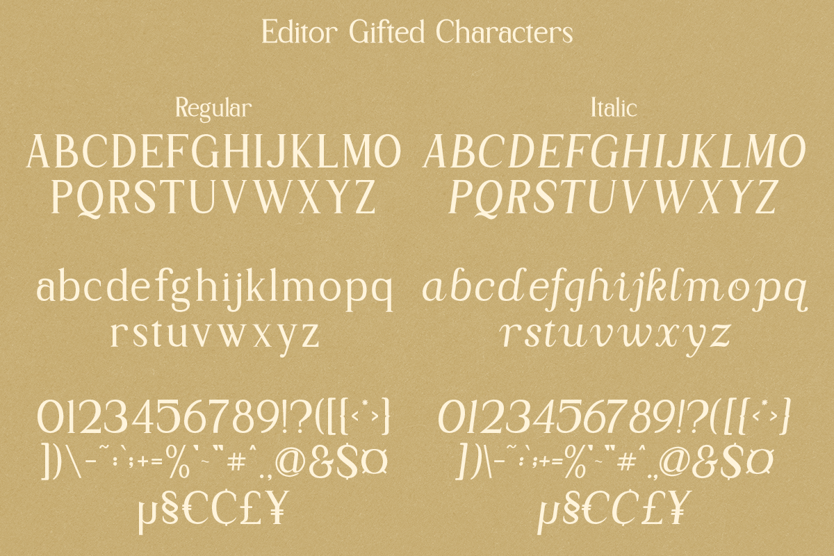 Editor Gifted - Nineties Font, a Serif Font by Pandeka Studio (Photo 13 of 13)