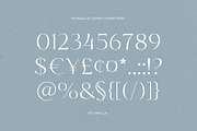 NT VANILLA, a Serif Font by nevsky.type (Thumbnail 6 of 11)