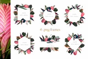 Pink tropical frames and patterns, an Illustration by marie dricot (Thumbnail 2 of 15)