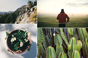 FilmTone Natural Photoshop Actions preview 5