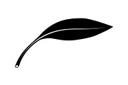 Hand Drawn Leaf Line Art Bundle, an Illustration by hafijul (Thumbnail 16 of 51)