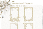 Ornamental Frames & Flowers, a Decorative Illustration by BlumenSoul (Thumbnail 4 of 12)