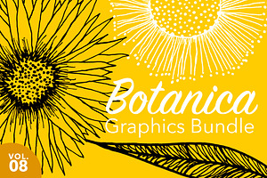 Decorative Sunflower Line Art Bundle