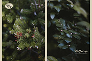 Zolfiq Monoline Smooth & Cool Script, a Script Font by Lettertype Studio (Thumbnail 4 of 8)