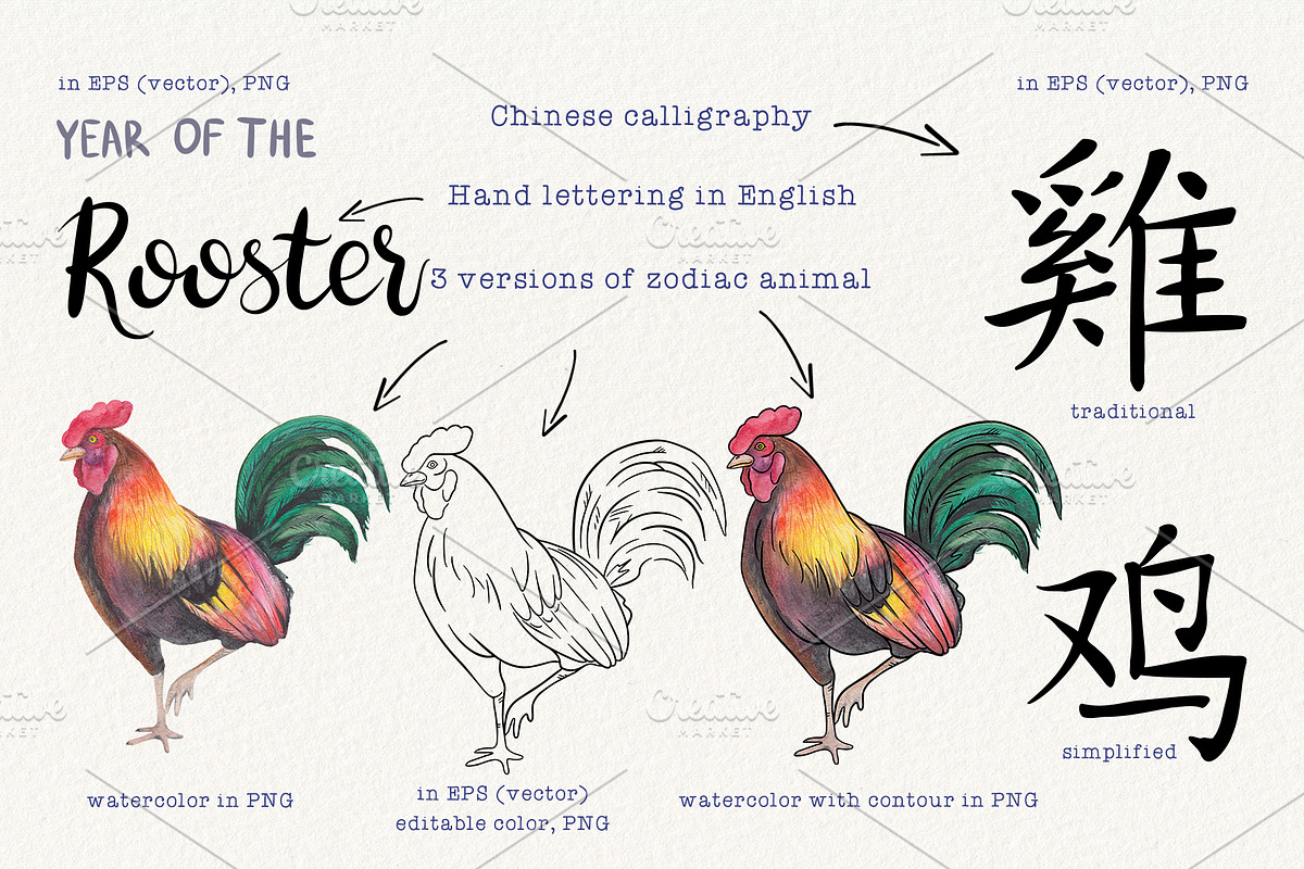 12 Chinese Zodiac Animals set, an Animal Illustration by Alena Solonshchikova (Photo 11 of 13)