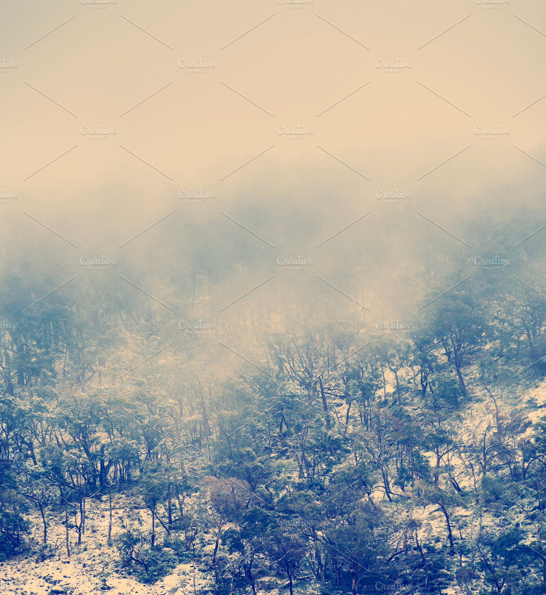 Winter Mountains, a Nature Photo by THP Creative
