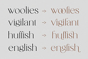 Catalina - Classy Ligature font, a Serif Font by dealitastudio (Thumbnail 8 of 11)