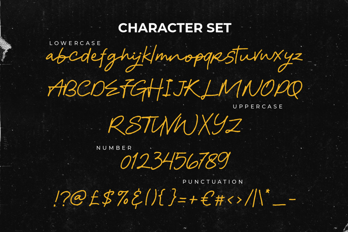 Flourique Signature Font, a Script Font by PutraCetol Studio (Photo 5 of 5)